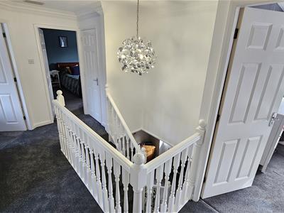 Picture 24